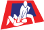 USA Jiu-Jitsu logo